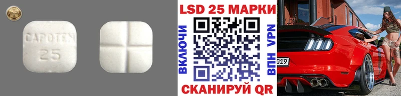 как найти наркотики блэк спрут онион ЛСД экстази кислота Суздаль